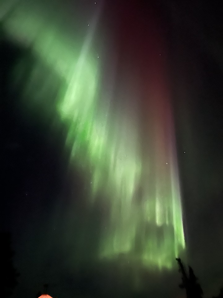 Aurora