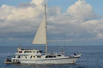 1_amelia_ship