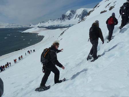 climbing Cuverville island procession