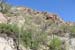 1. Sonoran Desert