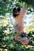 sifaka+baby