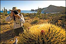 Sea of Cortez