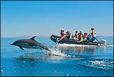 Sea of Cortez
