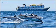 Sea of Cortez