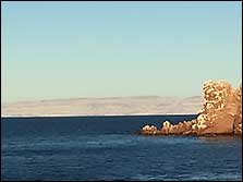 Sea of Cortez