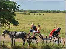 Discover Cuba