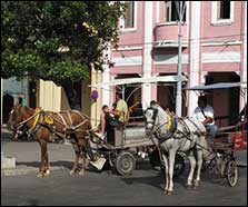 Discover Cuba