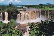 Falls