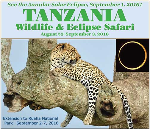 Tanzania Safari