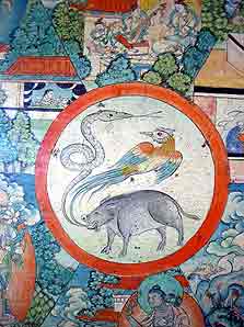 Tibet Expedition