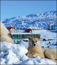 Greenland scene